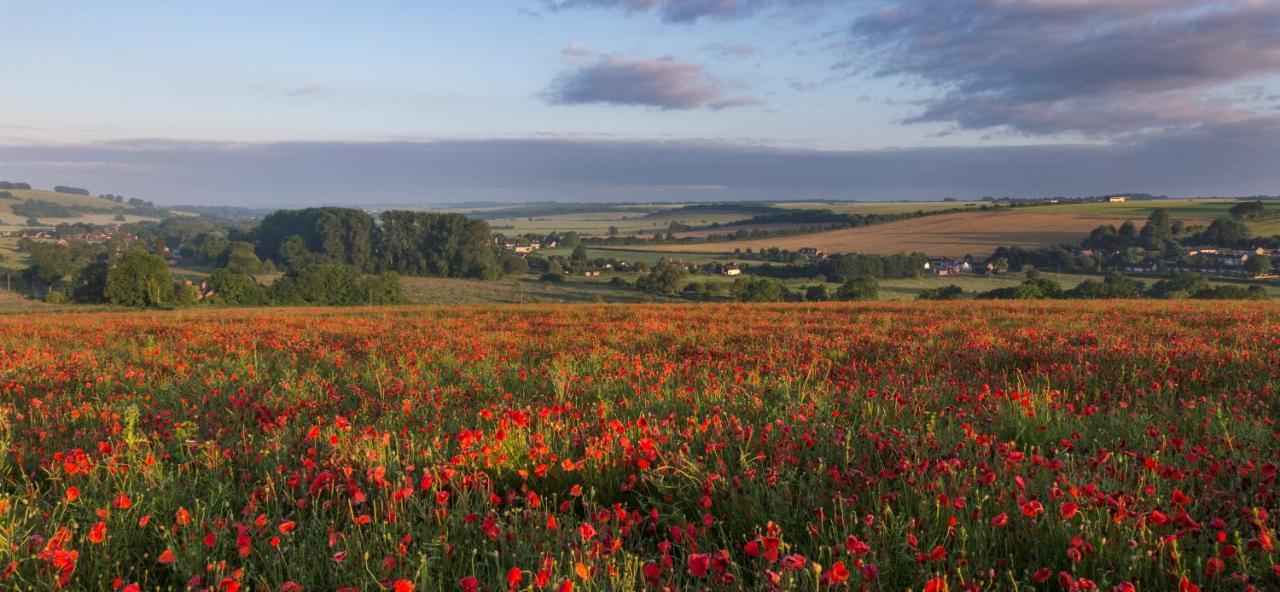 The Queen'S Head At Broad Chalke Hotel ภายนอก รูปภาพ